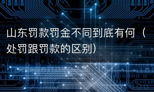 山东罚款罚金不同到底有何（处罚跟罚款的区别）