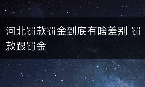 河北罚款罚金到底有啥差别 罚款跟罚金