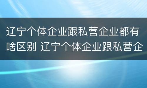 辽宁个体企业跟私营企业都有啥区别 辽宁个体企业跟私营企业都有啥区别呢