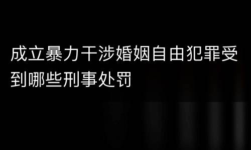 成立暴力干涉婚姻自由犯罪受到哪些刑事处罚