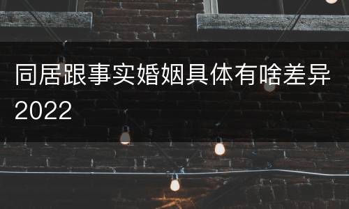 同居跟事实婚姻具体有啥差异2022