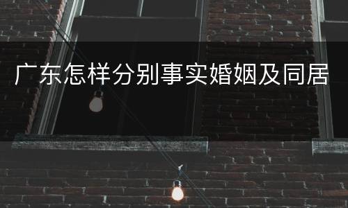 广东怎样分别事实婚姻及同居