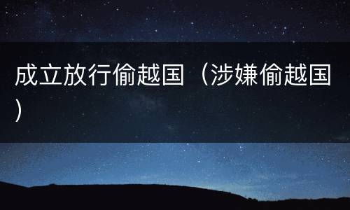 成立放行偷越国（涉嫌偷越国）