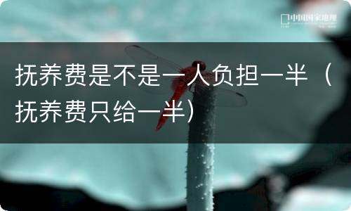 抚养费是不是一人负担一半（抚养费只给一半）
