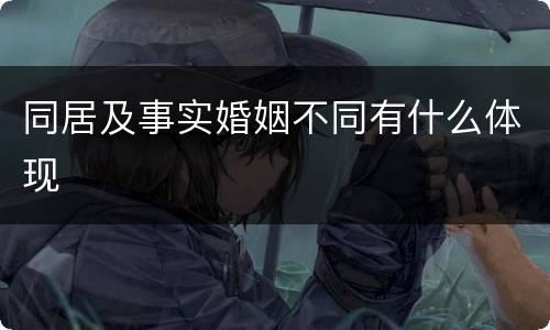 同居及事实婚姻不同有什么体现