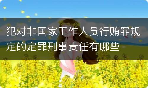 犯对非国家工作人员行贿罪规定的定罪刑事责任有哪些