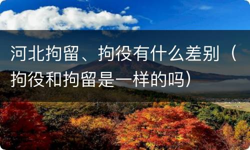 河北拘留、拘役有什么差别（拘役和拘留是一样的吗）