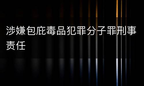 涉嫌包庇毒品犯罪分子罪刑事责任