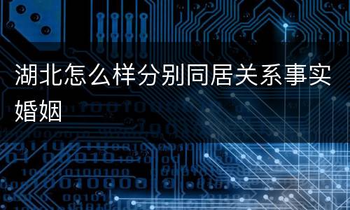 湖北怎么样分别同居关系事实婚姻
