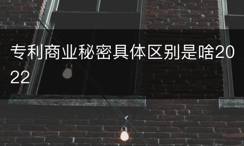 专利商业秘密具体区别是啥2022
