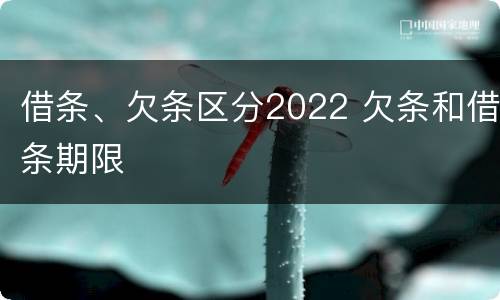 借条、欠条区分2022 欠条和借条期限