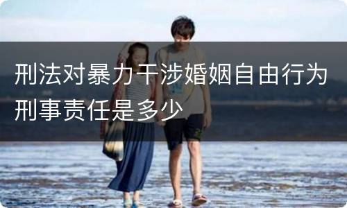 刑法对暴力干涉婚姻自由行为刑事责任是多少