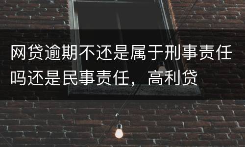 网贷逾期不还是属于刑事责任吗还是民事责任，高利贷
