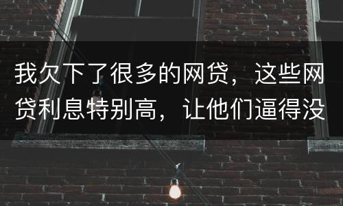 我欠下了很多的网贷，这些网贷利息特别高，让他们逼得没有能力偿还了，我该怎么办