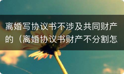 离婚写协议书不涉及共同财产的（离婚协议书财产不分割怎么写）