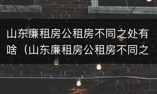 山东廉租房公租房不同之处有啥（山东廉租房公租房不同之处有啥差别）