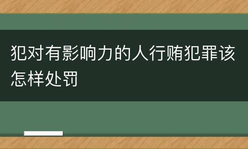 犯对有影响力的人行贿犯罪该怎样处罚
