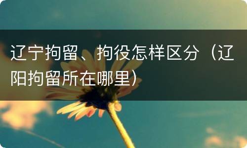 辽宁拘留、拘役怎样区分（辽阳拘留所在哪里）