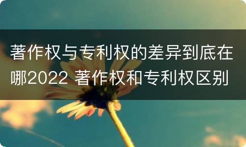 著作权与专利权的差异到底在哪2022 著作权和专利权区别