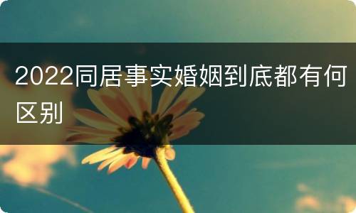 2022同居事实婚姻到底都有何区别