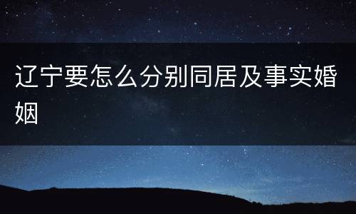 辽宁要怎么分别同居及事实婚姻