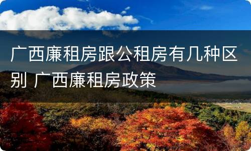 广西廉租房跟公租房有几种区别 广西廉租房政策