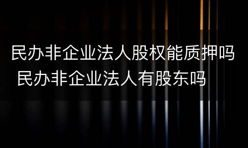 民办非企业法人股权能质押吗 民办非企业法人有股东吗