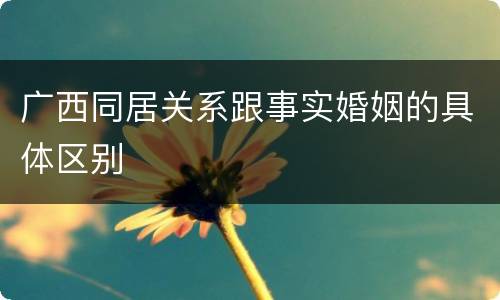 广西同居关系跟事实婚姻的具体区别