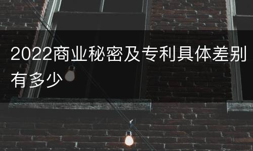 2022商业秘密及专利具体差别有多少