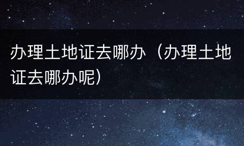 办理土地证去哪办（办理土地证去哪办呢）