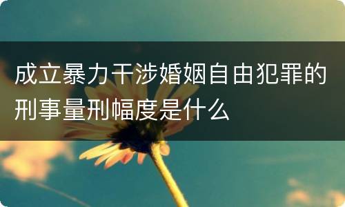 成立暴力干涉婚姻自由犯罪的刑事量刑幅度是什么