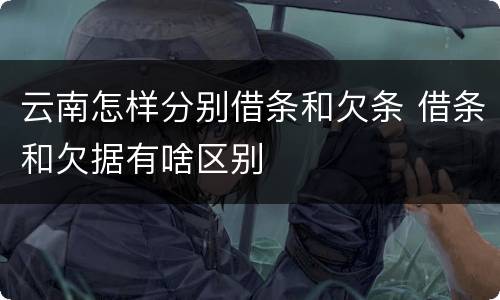 云南怎样分别借条和欠条 借条和欠据有啥区别