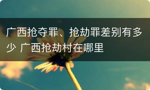 广西抢夺罪、抢劫罪差别有多少 广西抢劫村在哪里