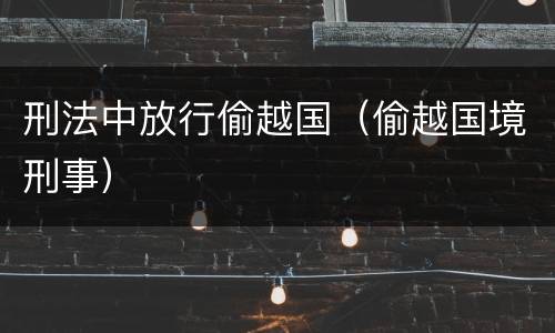 刑法中放行偷越国（偷越国境刑事）