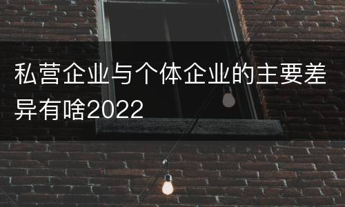 私营企业与个体企业的主要差异有啥2022
