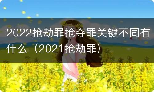 2022抢劫罪抢夺罪关键不同有什么（2021抢劫罪）