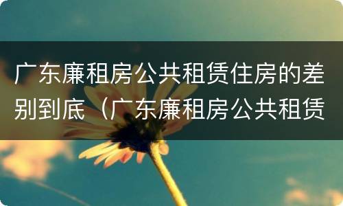 广东廉租房公共租赁住房的差别到底（广东廉租房公共租赁住房的差别到底大吗）