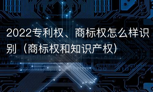 2022专利权、商标权怎么样识别（商标权和知识产权）