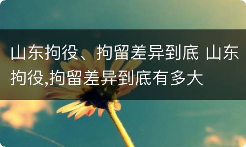山东拘役、拘留差异到底 山东拘役,拘留差异到底有多大