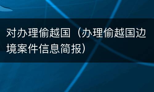 对办理偷越国（办理偷越国边境案件信息简报）