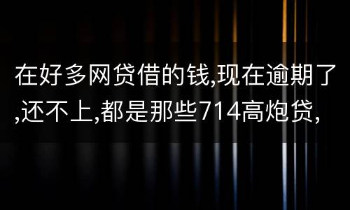 在好多网贷借的钱,现在逾期了,还不上,都是那些714高炮贷,征信上也没有