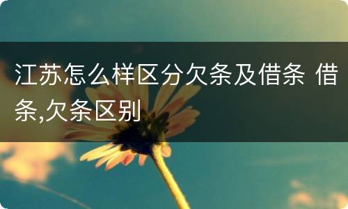 江苏怎么样区分欠条及借条 借条,欠条区别