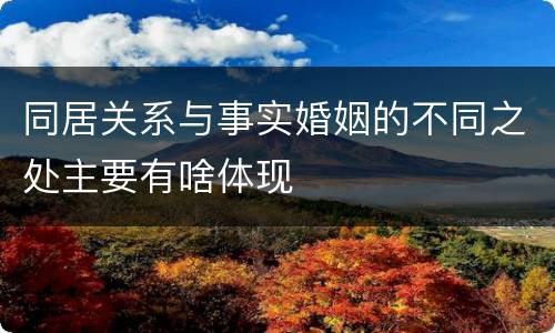 同居关系与事实婚姻的不同之处主要有啥体现