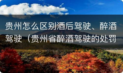 贵州怎么区别酒后驾驶、醉酒驾驶（贵州省醉酒驾驶的处罚最高是多少）