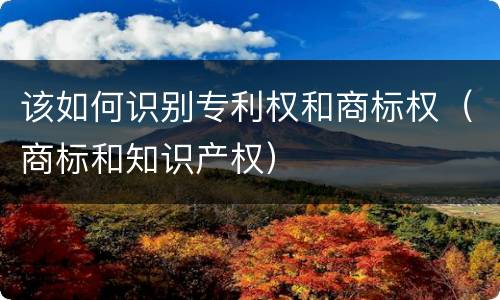 该如何识别专利权和商标权（商标和知识产权）