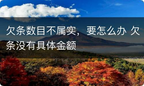 欠条数目不属实，要怎么办 欠条没有具体金额