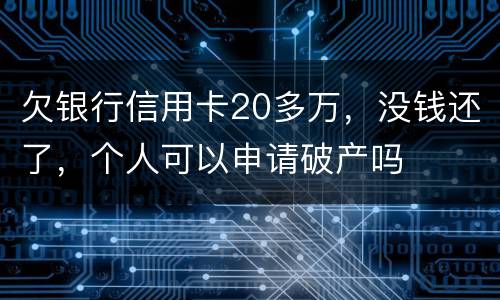 欠银行信用卡20多万，没钱还了，个人可以申请破产吗