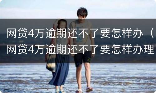 网贷4万逾期还不了要怎样办（网贷4万逾期还不了要怎样办理）