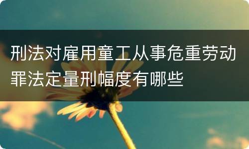 刑法对雇用童工从事危重劳动罪法定量刑幅度有哪些