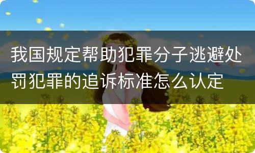 我国规定帮助犯罪分子逃避处罚犯罪的追诉标准怎么认定